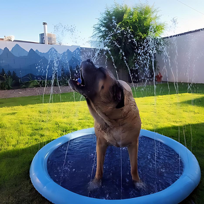 Splash - Din hunds sommar favorit!