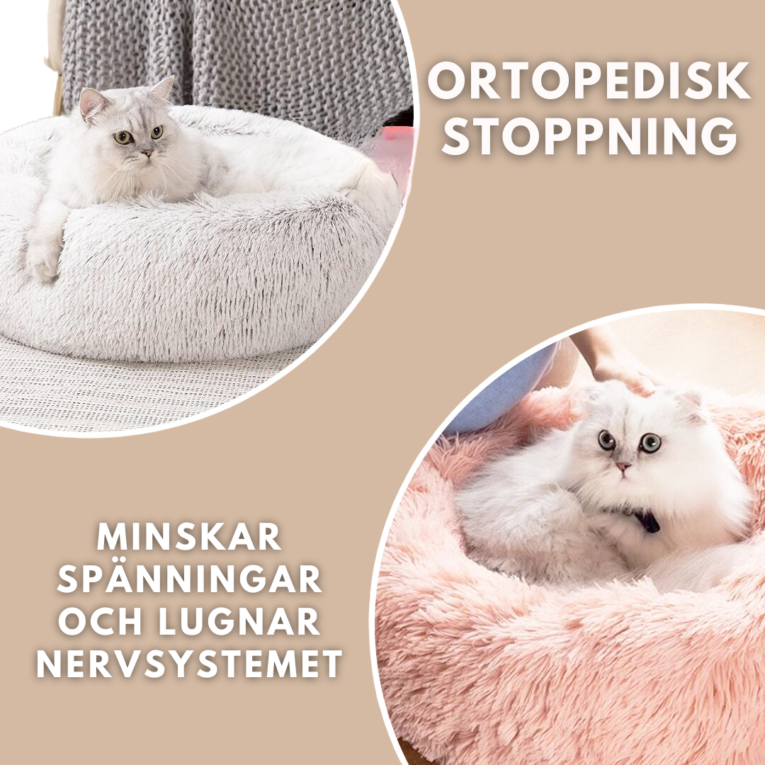 Mysig kattbädd - Originalet